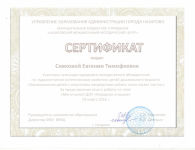 по теме "Мини-музей ДОУ"Народная игрушка"  2016г.